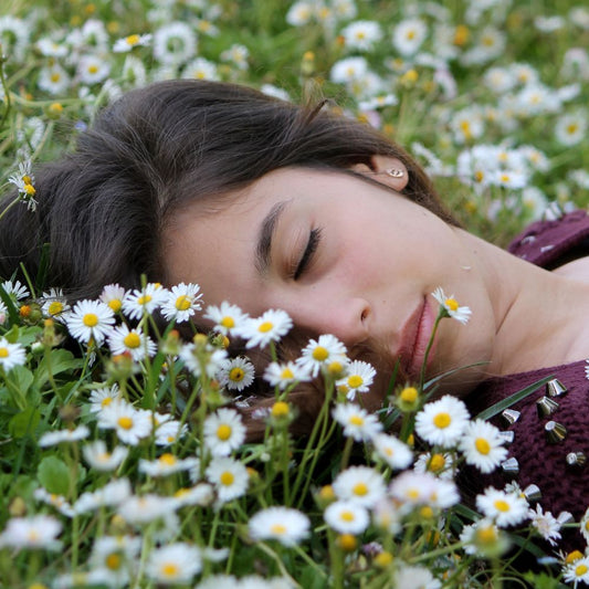 Mélatonine végétale, l'hormone du sommeil issue des plantes Rue Des Plantes
