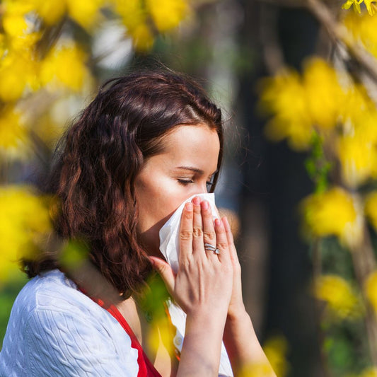 Quelles solutions naturelles face aux allergies ? Rue Des Plantes