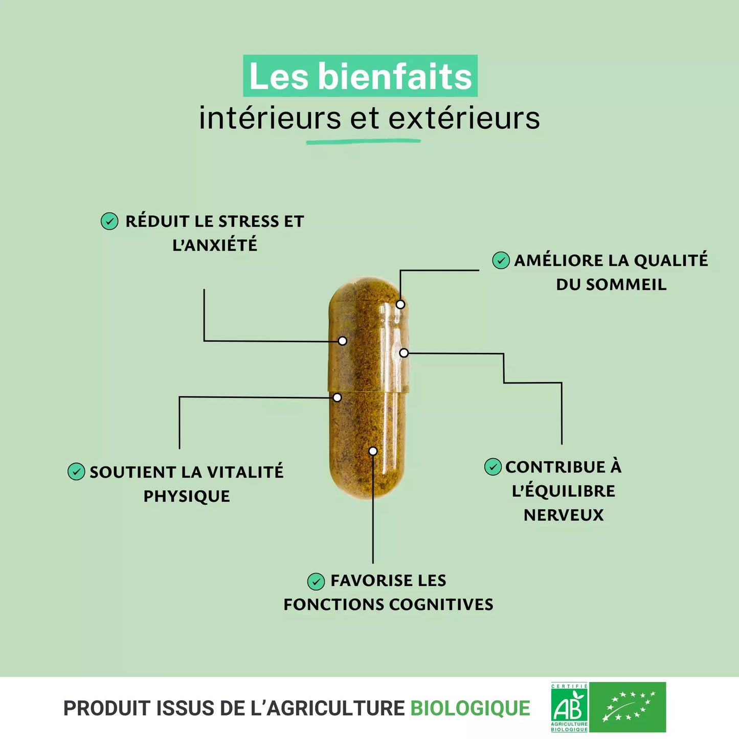 Achat Ashwagandha Bio Extrait 5% Withanolides - KSM-66®