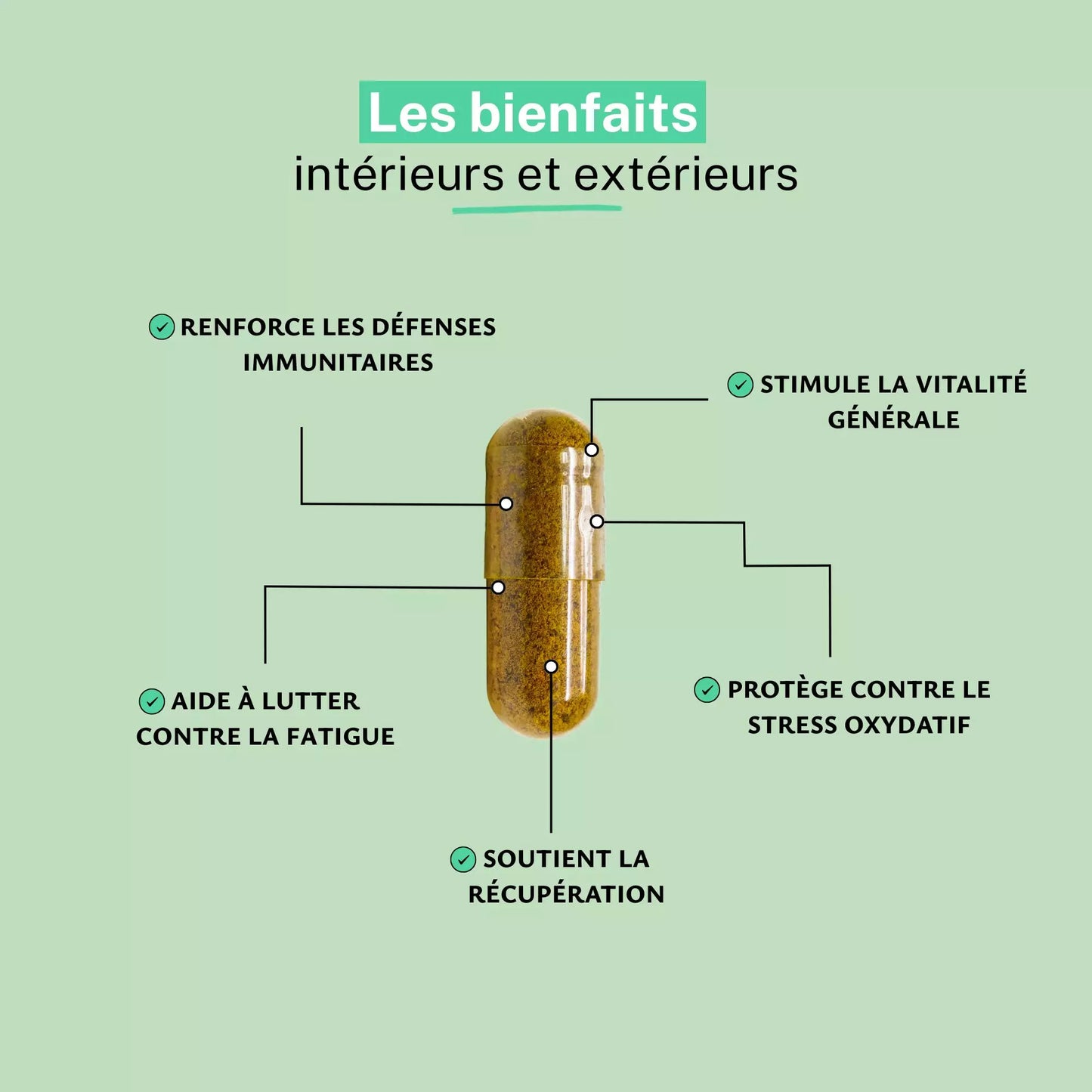 Achat Astragale extrait