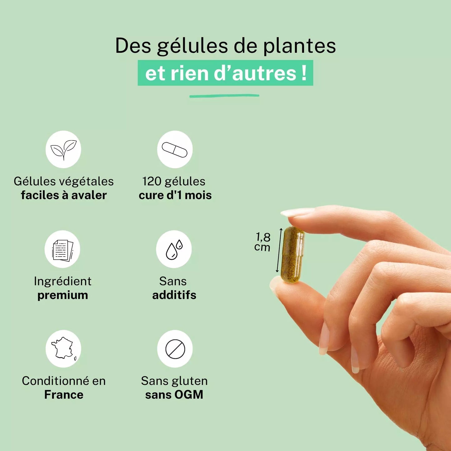 Achat Astragale extrait