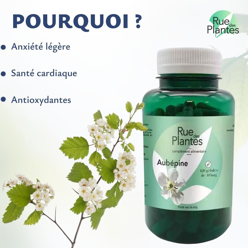 Achat Aubépine - Rue Des Plantes