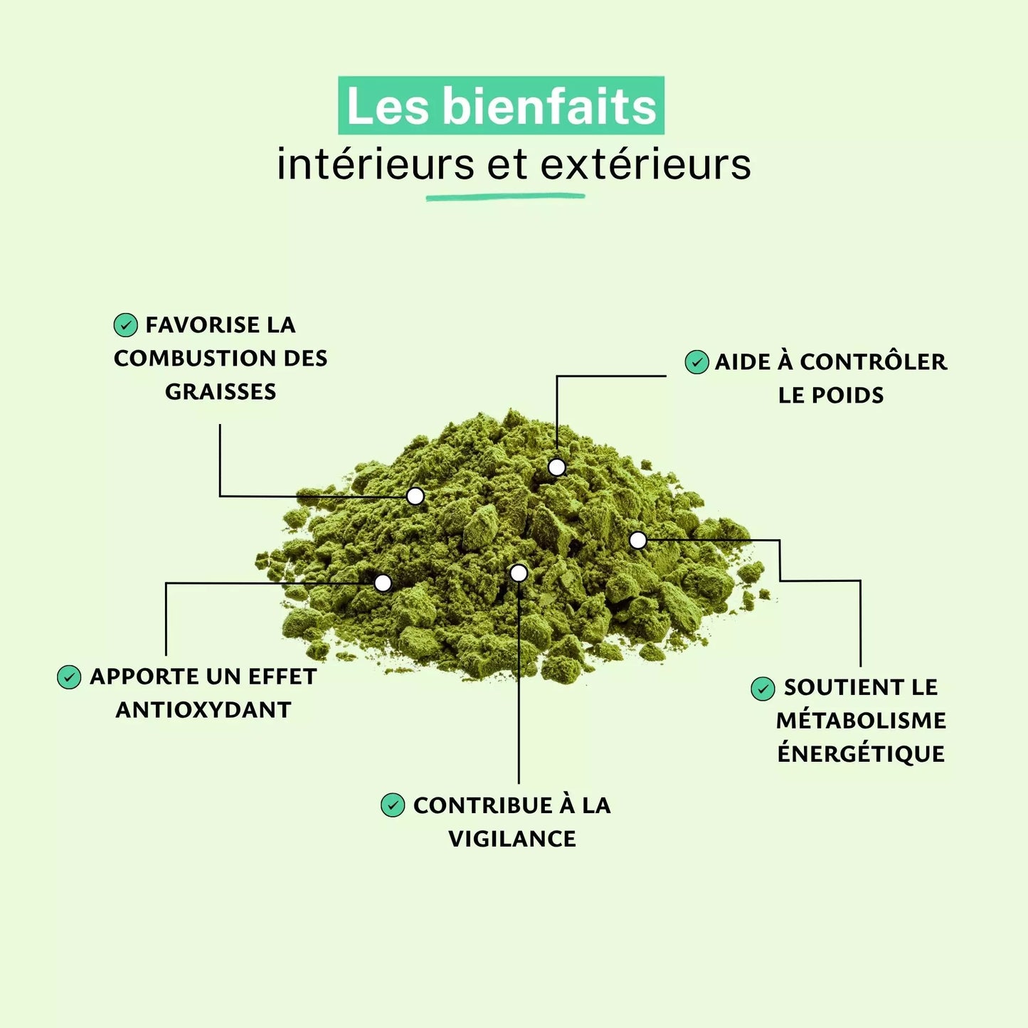 Achat Café Vert Extrait 15% d'Acide Chlorogénique Poudre
