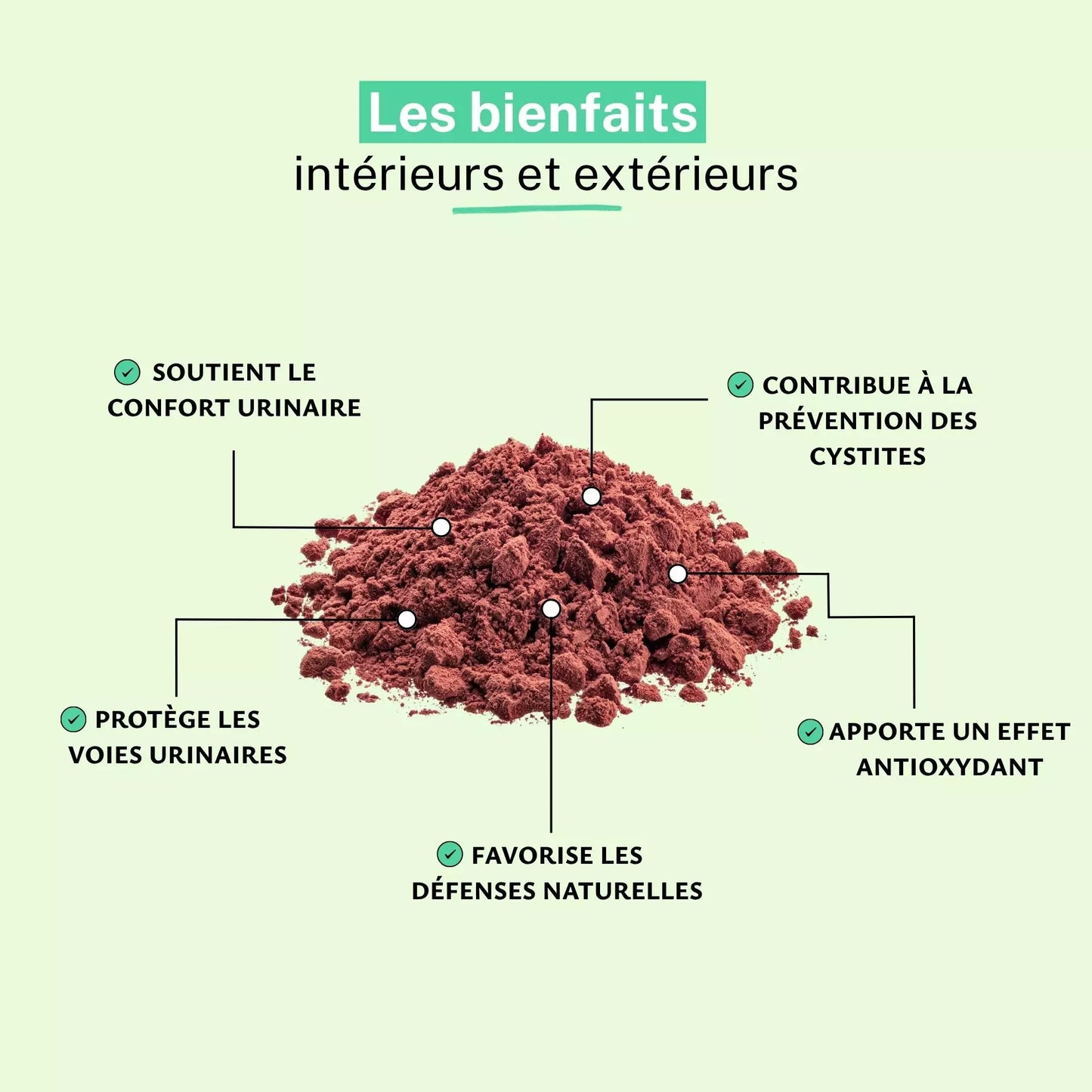 Achat Canneberge Extrait 5% Anthocyanosides Poudre