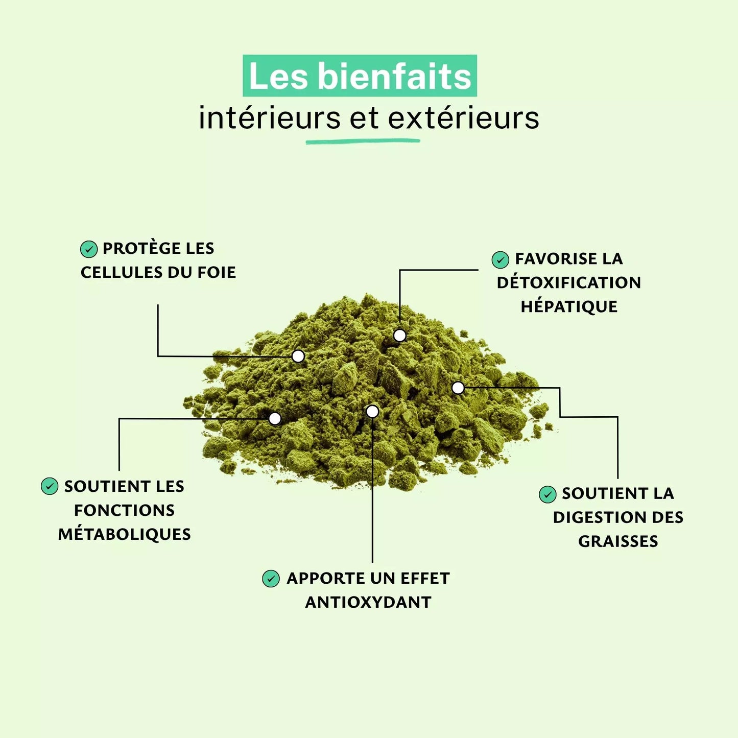 Achat Chardon Marie Bio Poudre