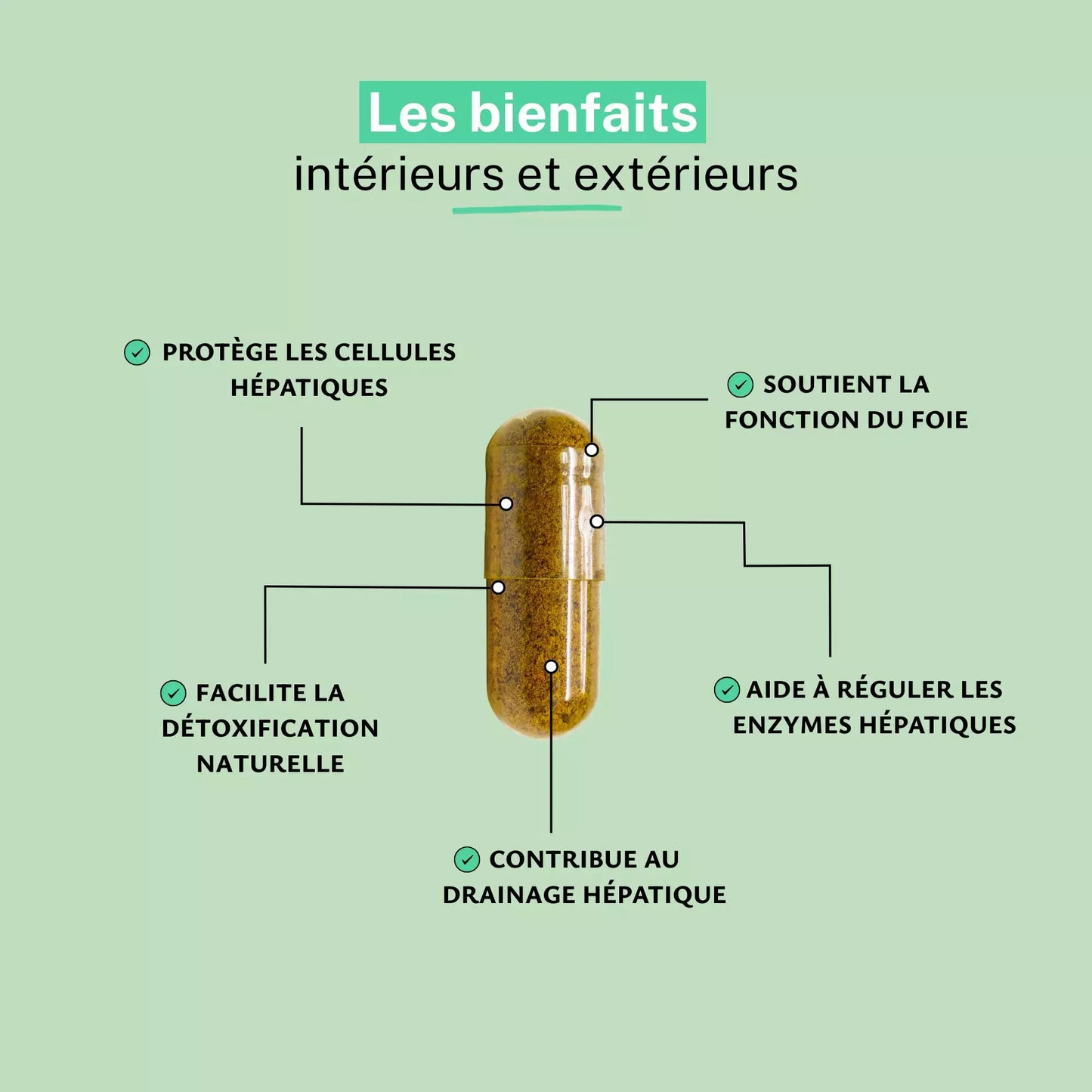 Achat Desmodium