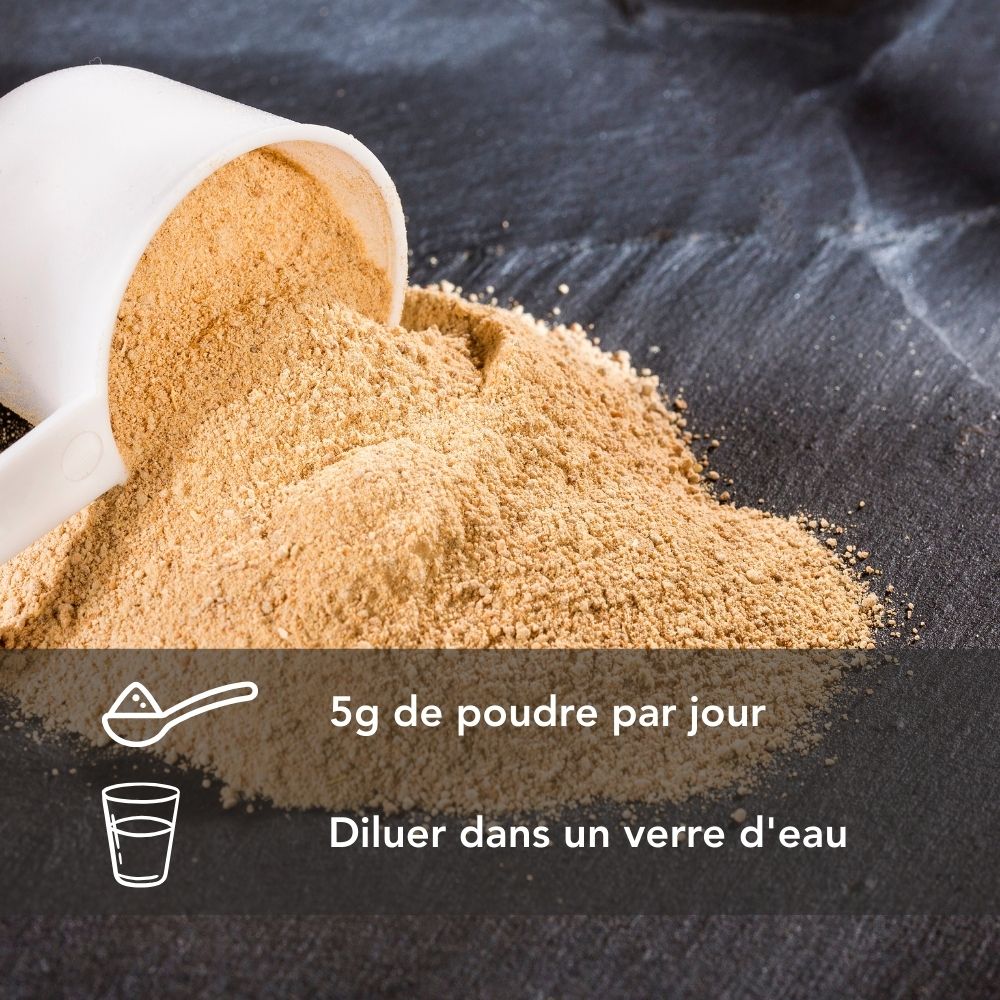 Achat Flolibido Boost Bio Poudre