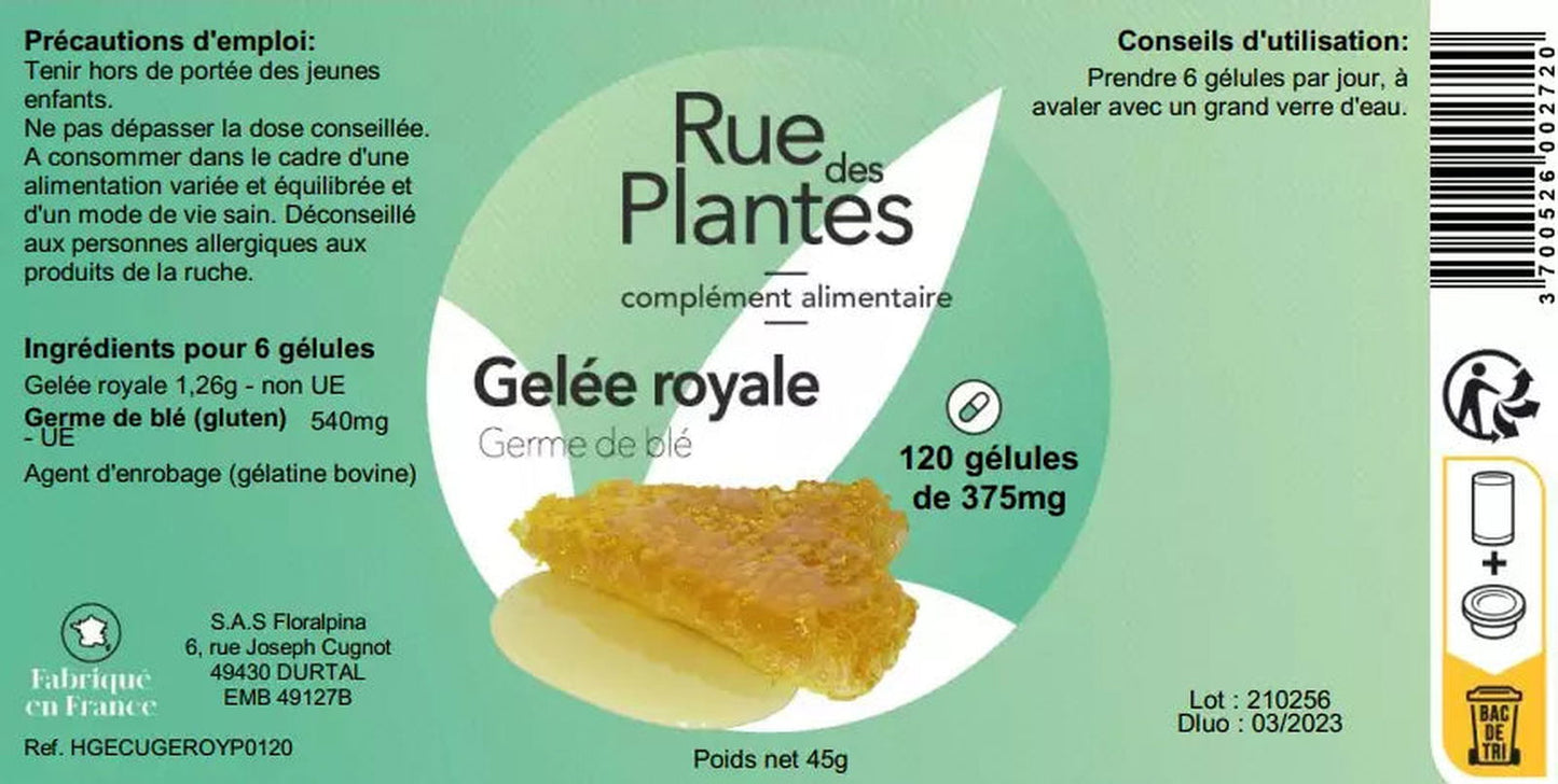 Achat Gelée royale (et germe de blé) - Rue Des Plantes