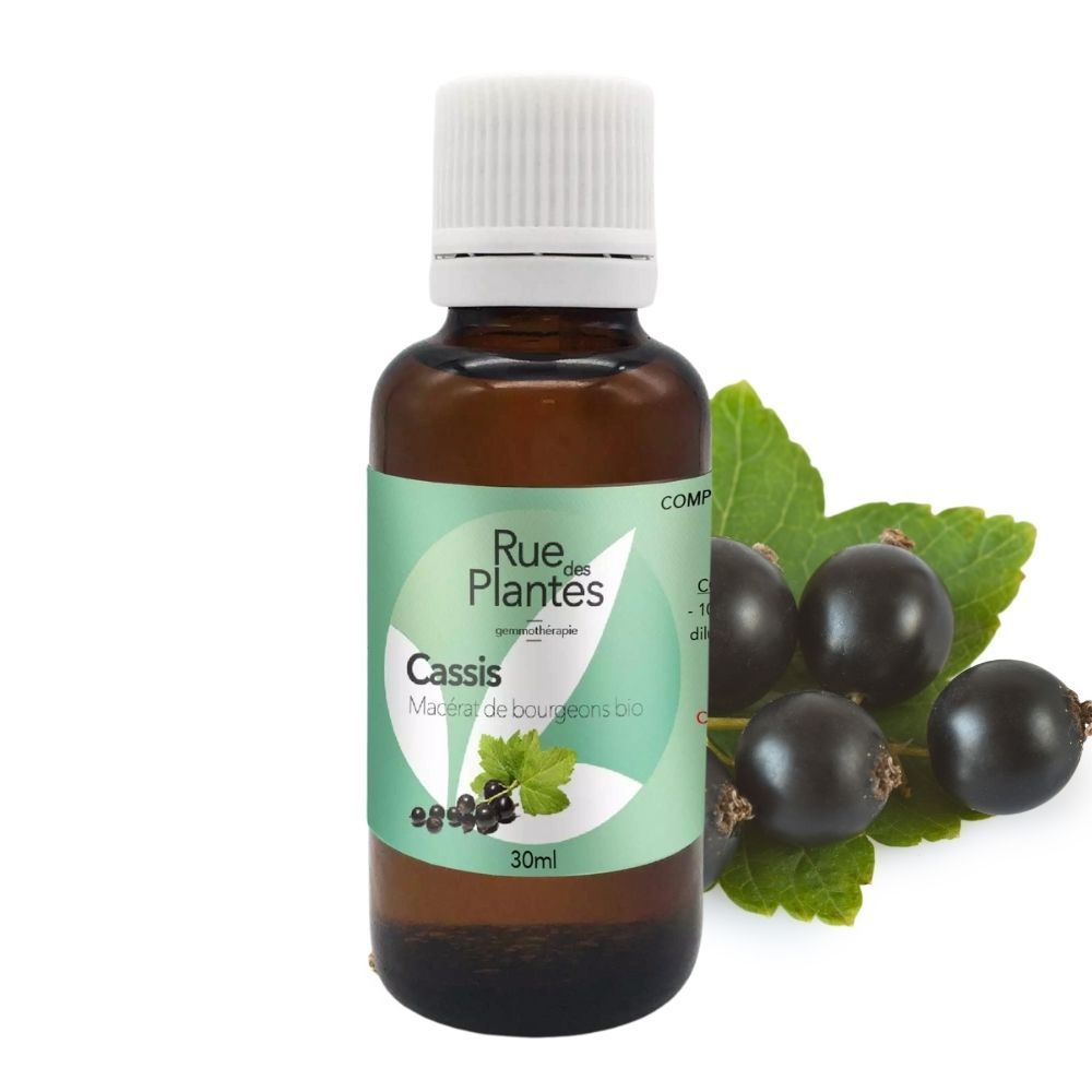 Achat Gemmothérapie Cassis - Rue Des Plantes