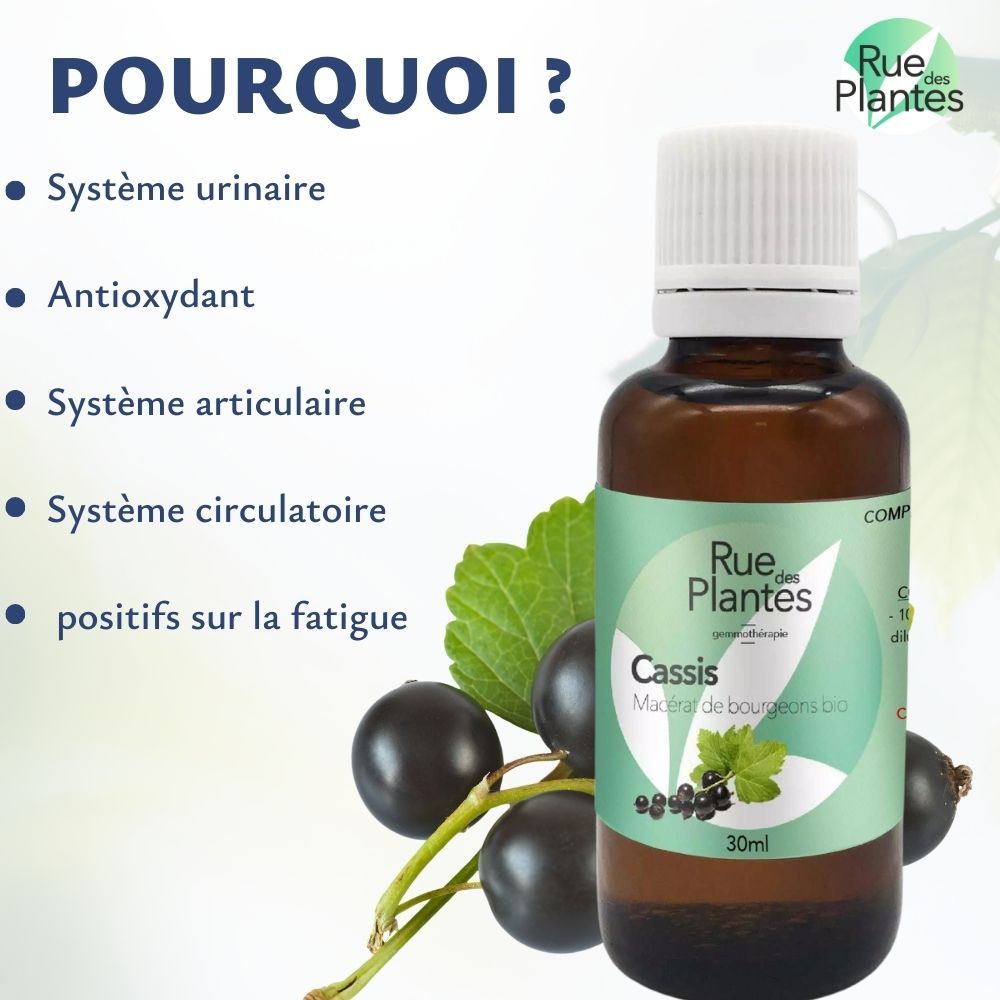 Achat Gemmothérapie Cassis - Rue Des Plantes
