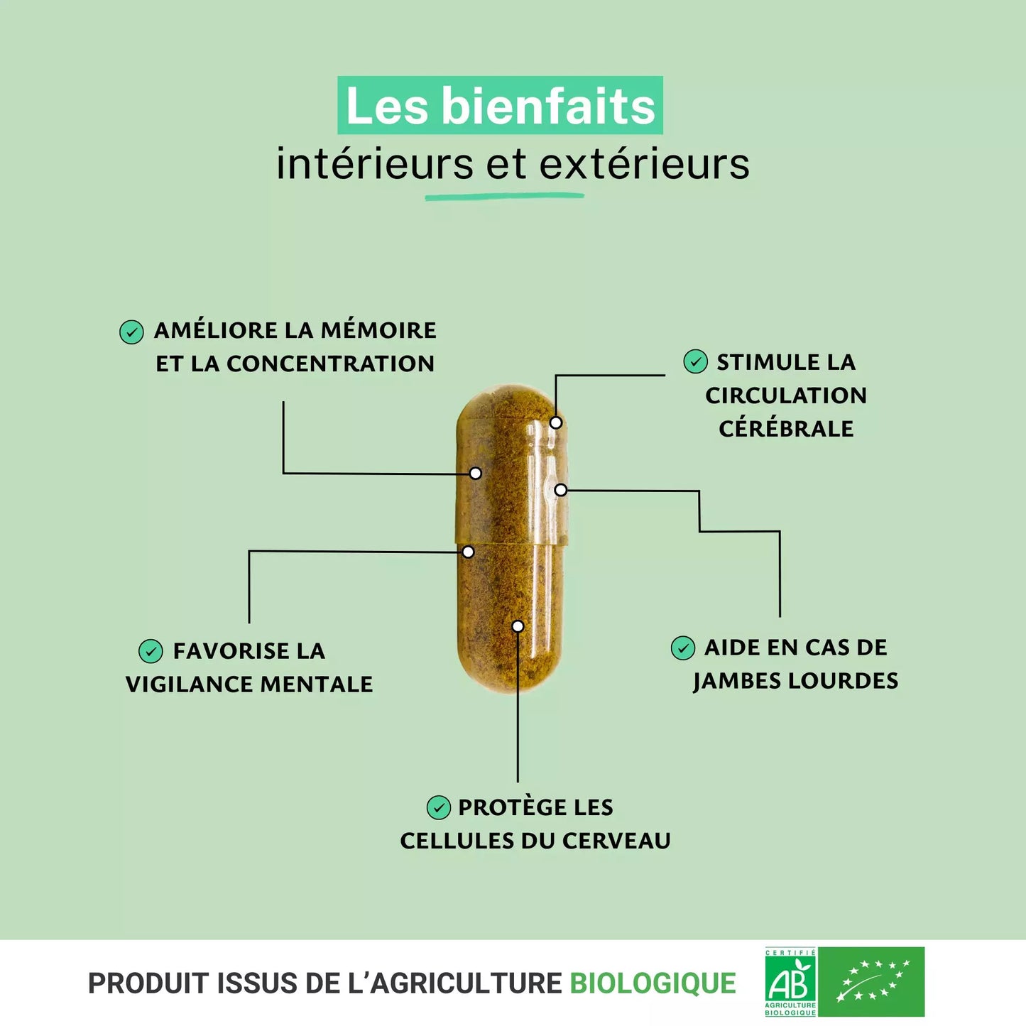 Achat Ginkgo Biloba Bio