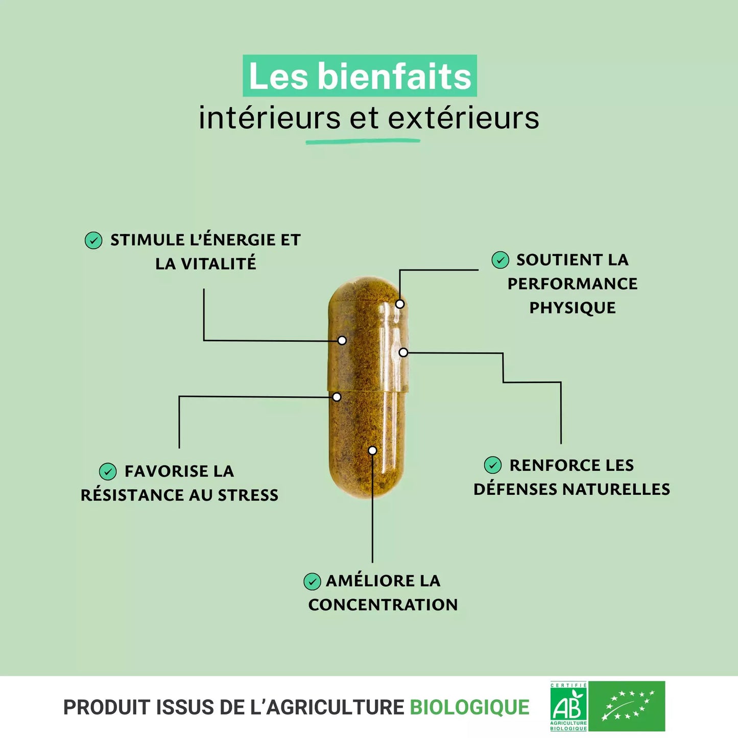 Achat Ginseng Rouge Bio