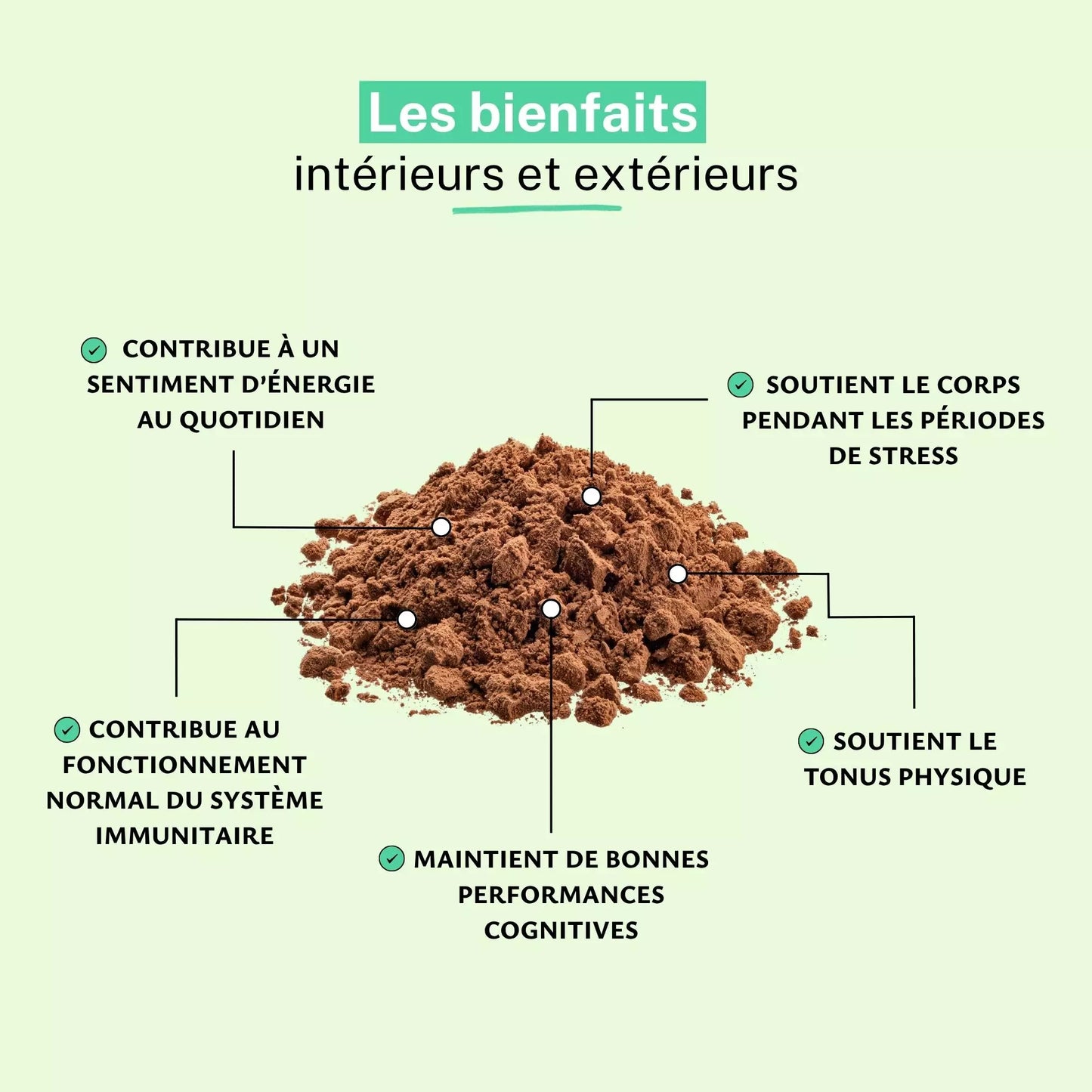 Achat Ginseng Rouge Poudre