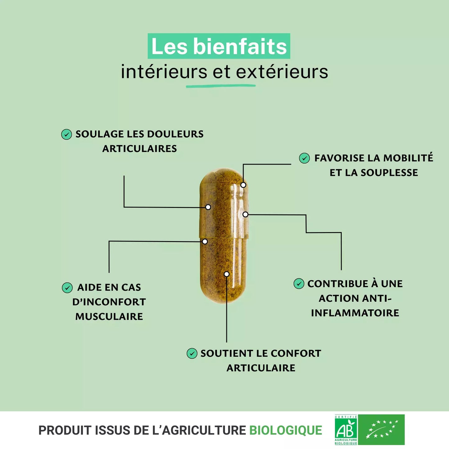 Achat Harpagophytum Bio