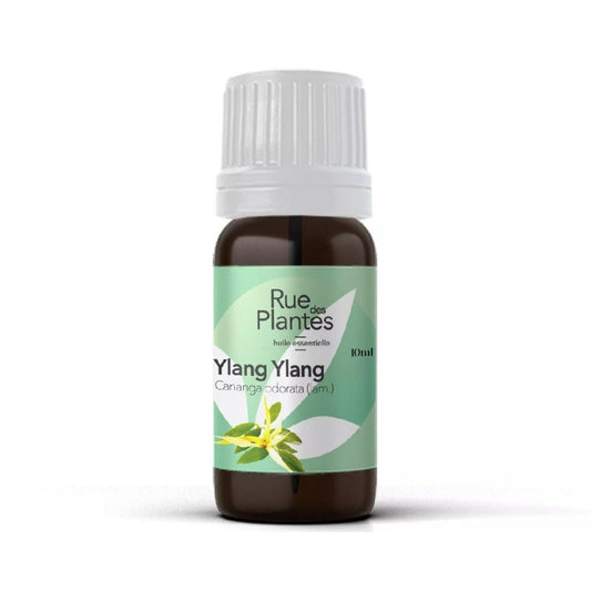 Achat Huile essentielle Ylang ylang bio Rue Des Plantes