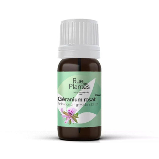 Achat Huile essentielle de géranium rosat bio - Rue Des Plantes
