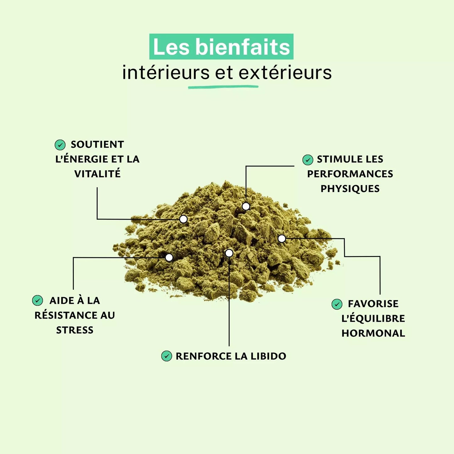 Achat Maca BIO Poudre