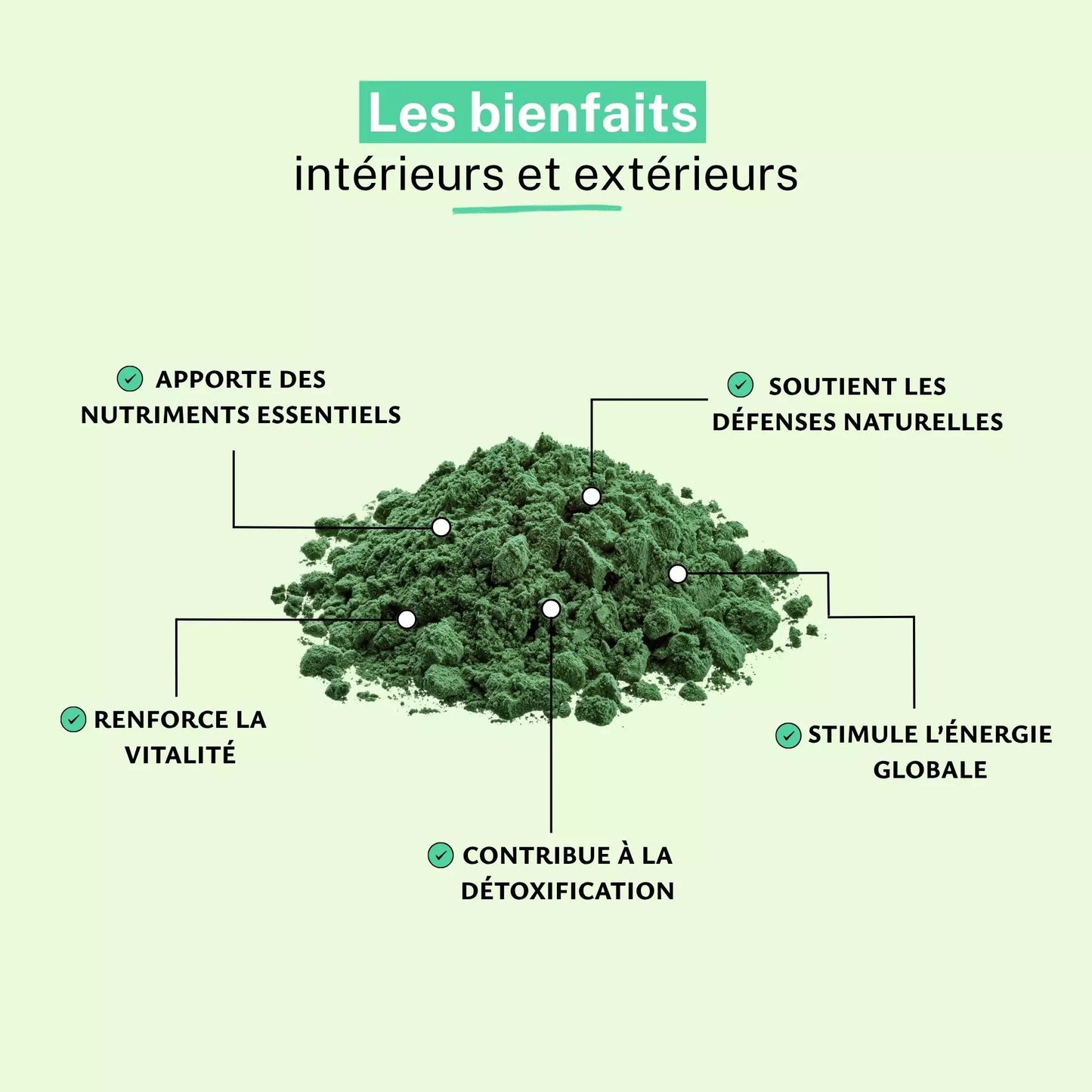 Achat Moringa Poudre