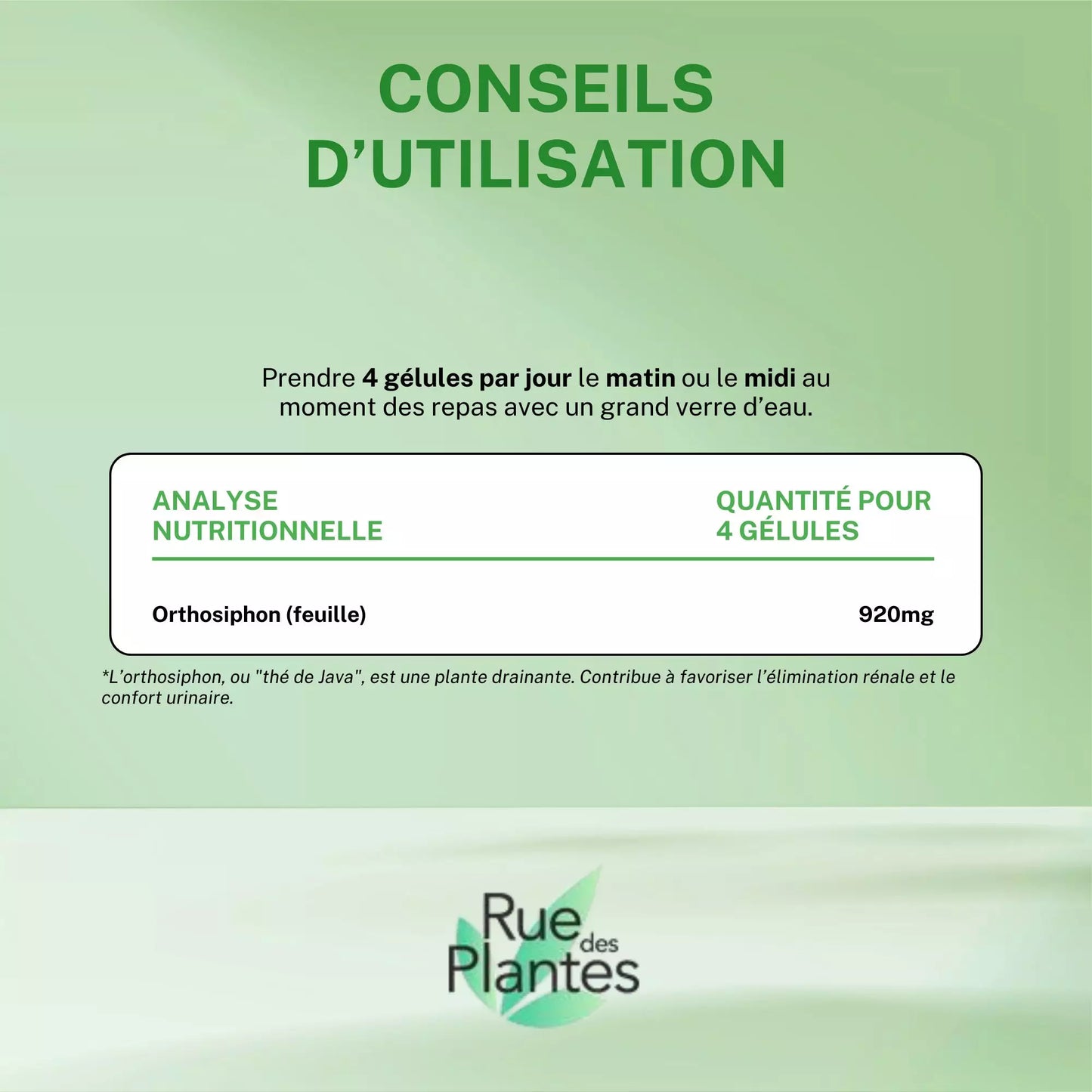 Achat Orthosiphon