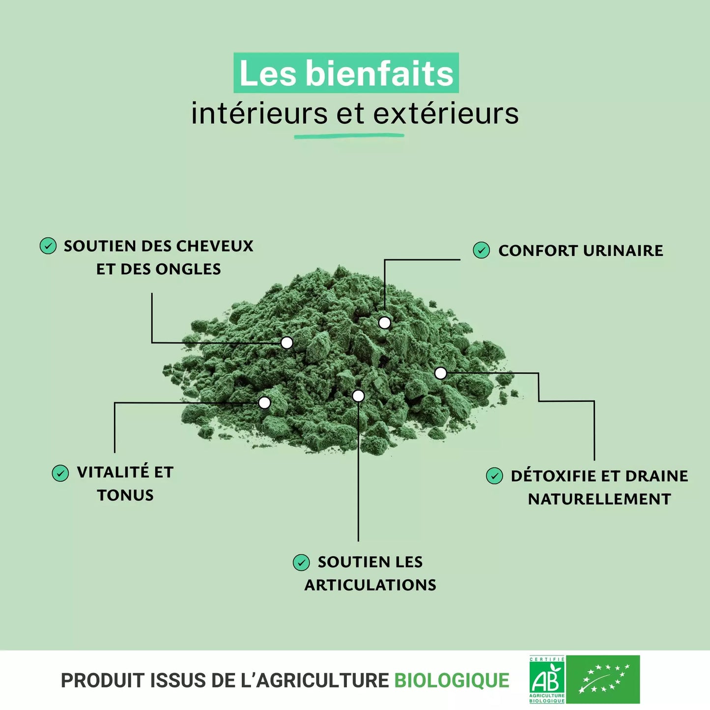 Achat Ortie Piquante Bio Poudre