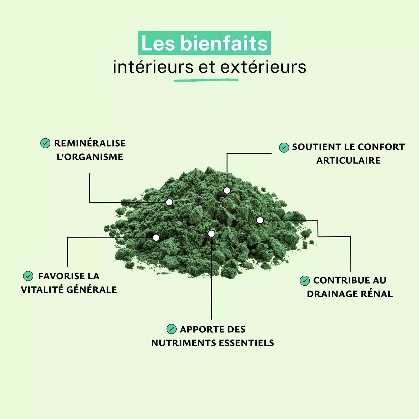 Achat Ortie Piquante Bio Poudre