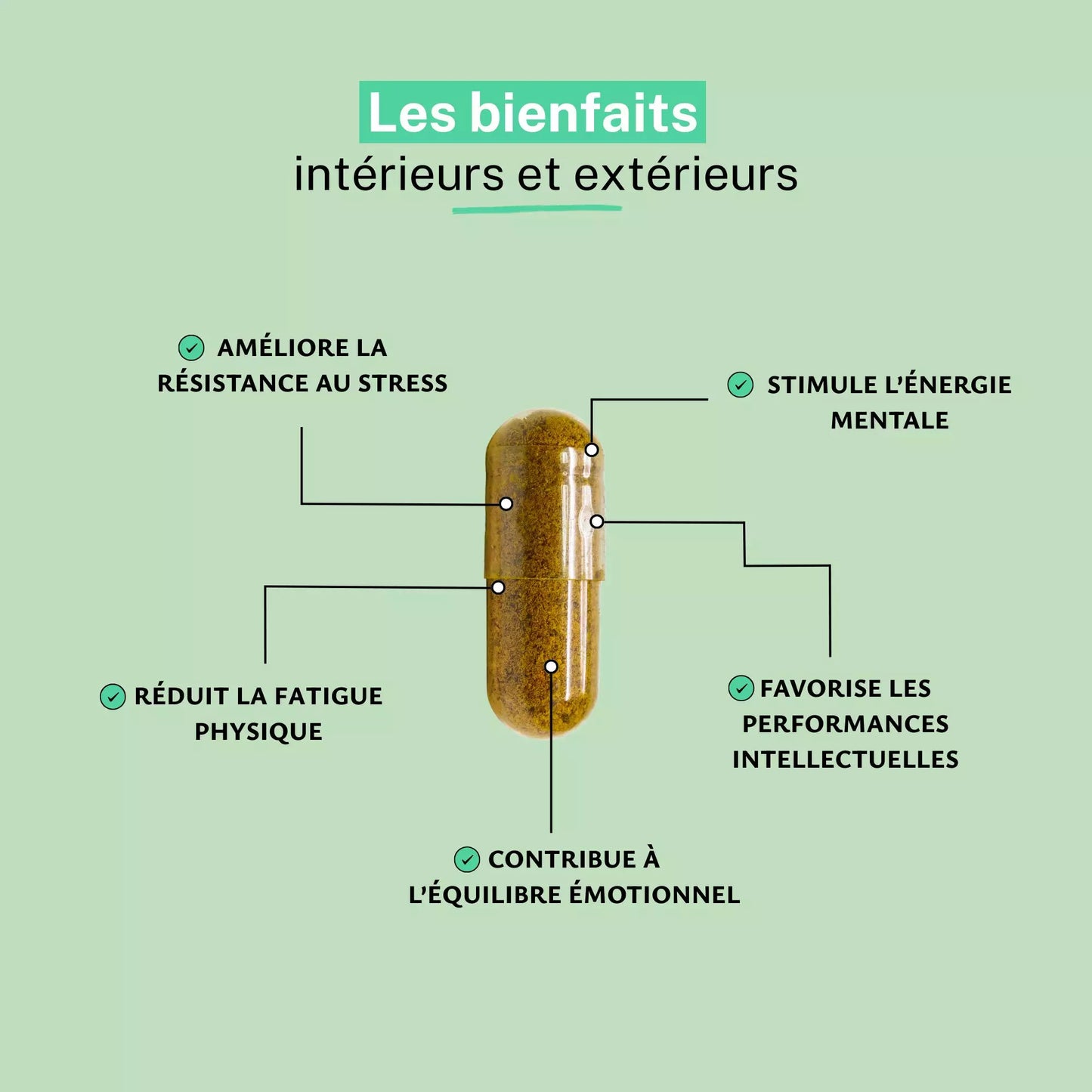 Achat Rhodiola Extrait 1% Salidroside