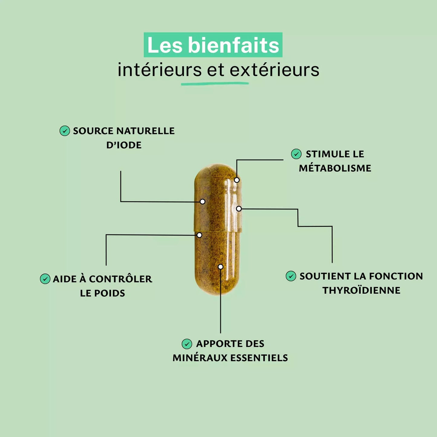 Achat Wakamé