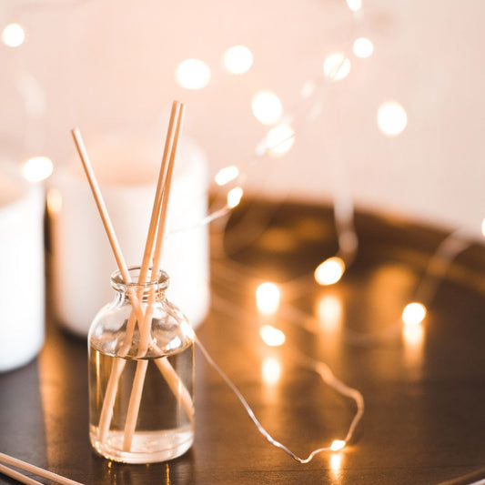 Plantes et huiles essentielles : des parfums d'intérieur pour respirer sainement Rue Des Plantes