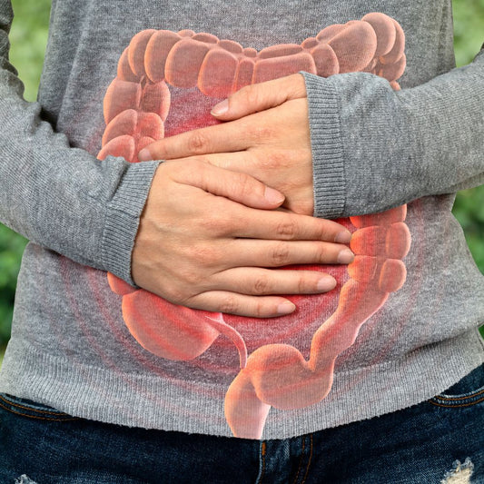 Quelles solutions naturelles pour restaurer sa flore intestinale ? Rue Des Plantes