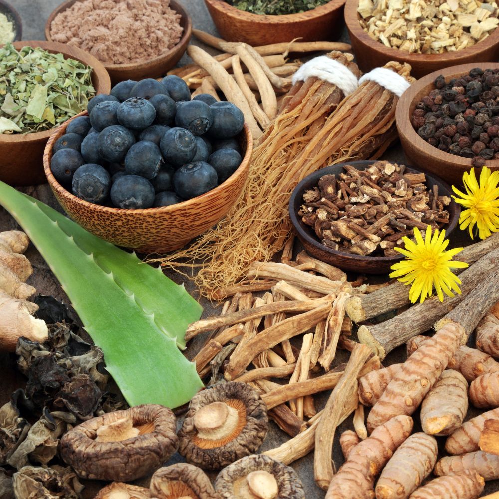 Les plantes adaptogènes les plus efficaces – Rue Des Plantes