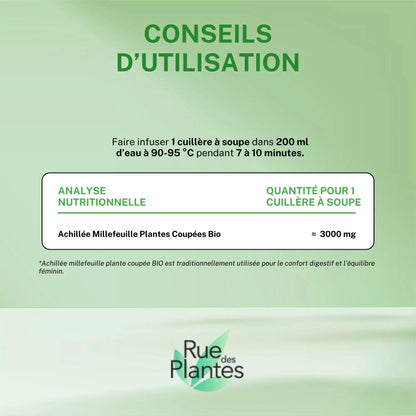 Achillée millefeuille bio