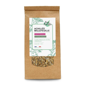 Achillée Millefeuille Tisane