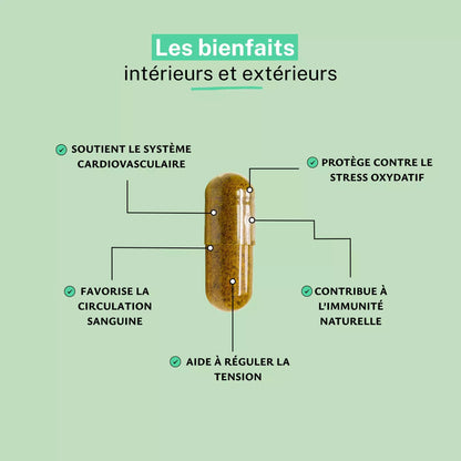 Ail Noir Extrait 4:1