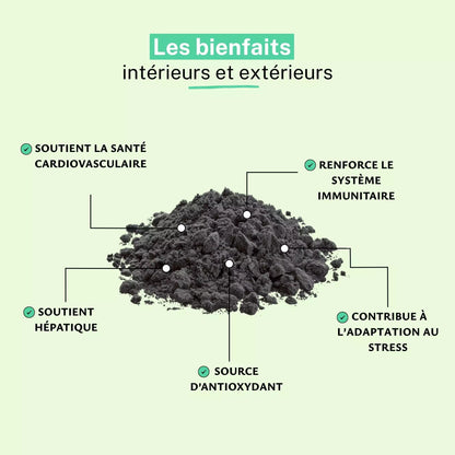 Ail Noir Extrait 4:1 Poudre