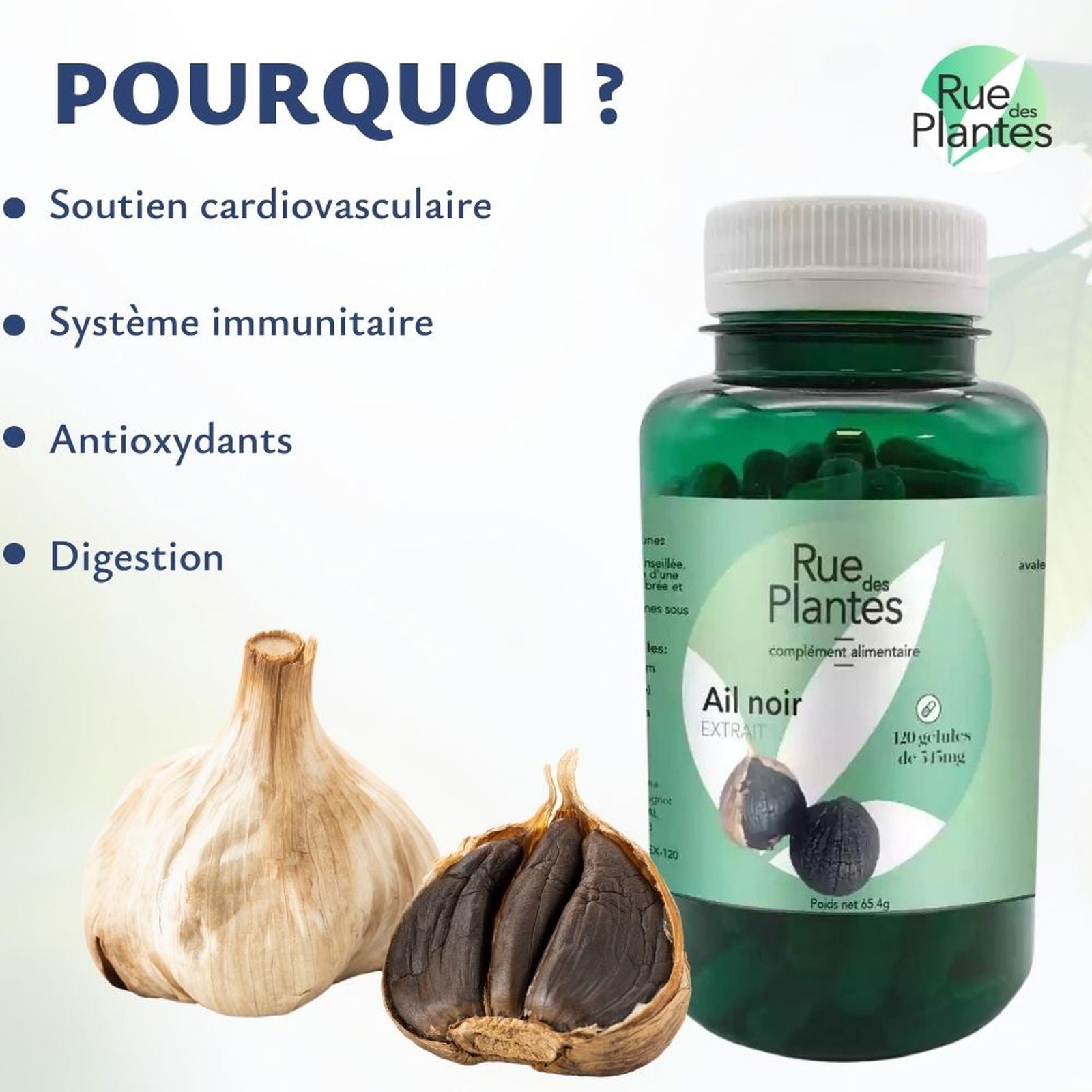 Ail noir extrait de 545mg - Rue Des Plantes