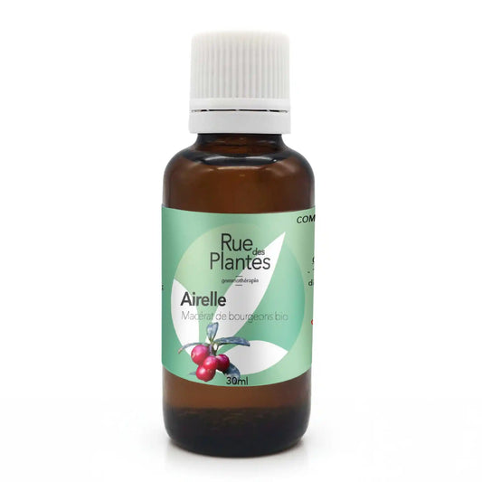 Achat Macérat de bourgeons Airelle Bio - Gemmothérapie