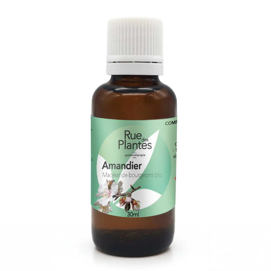 Achat Macérat de bourgeons Amandier Bio - Gemmothérapie