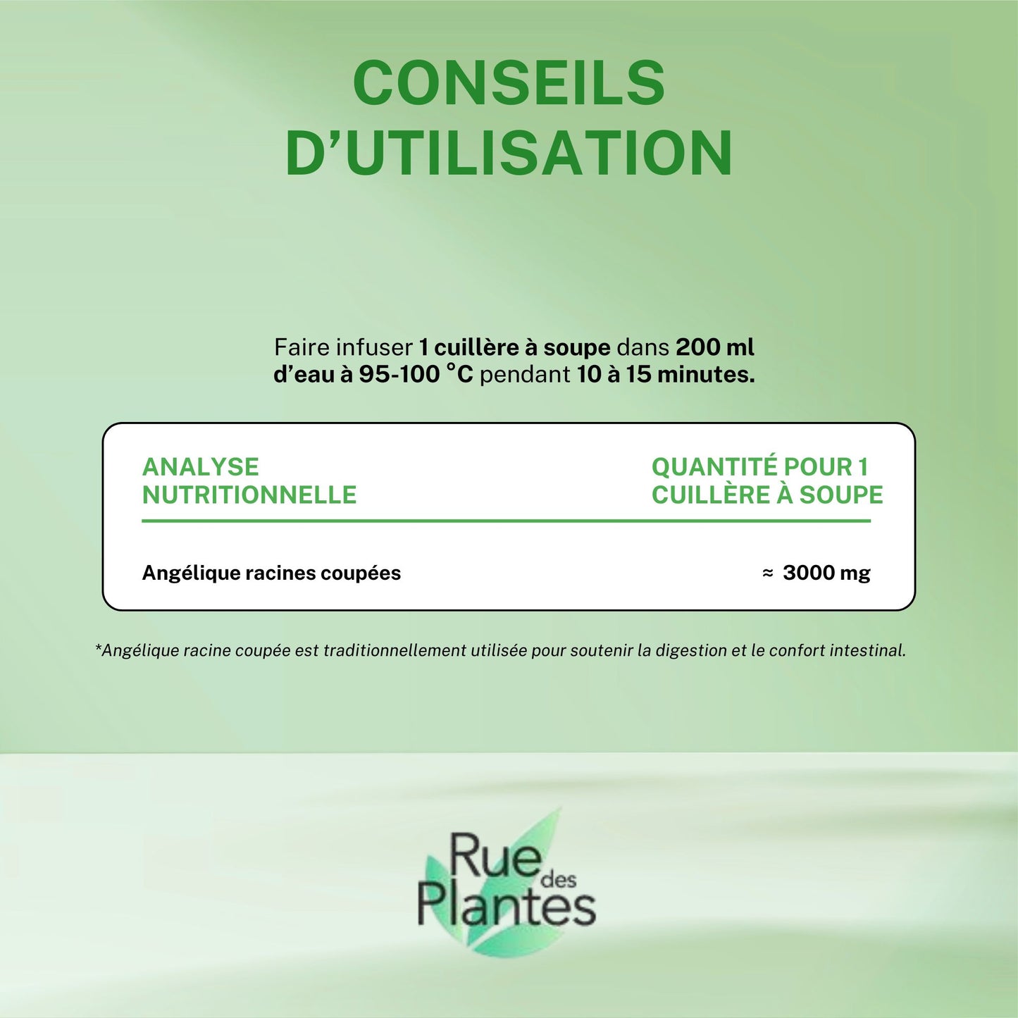 Achat Angélique racines coupées