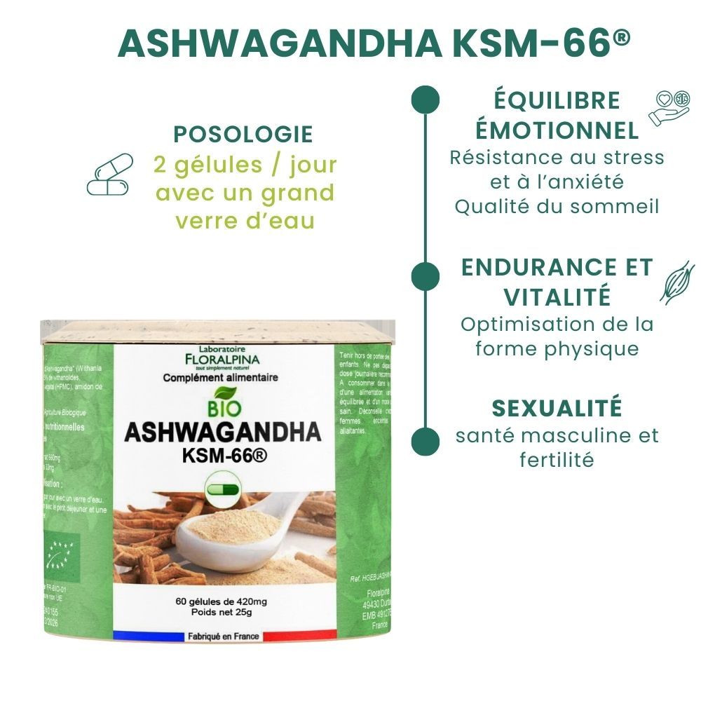 Ashwagandha bio - KSM-66® - Rue Des Plantes