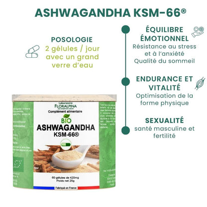 Ashwagandha bio - KSM-66® - Rue Des Plantes