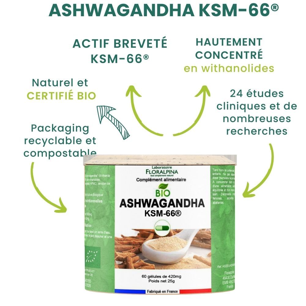 Ashwagandha bio - KSM-66® - Rue Des Plantes