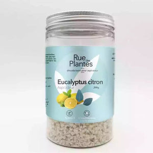 Aspi'odeur eucalyptus citron - désodorisant pour aspirateur