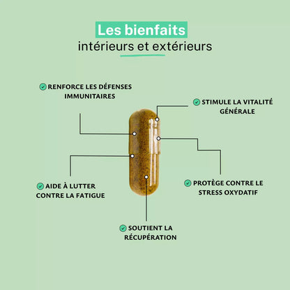 Astragale extrait