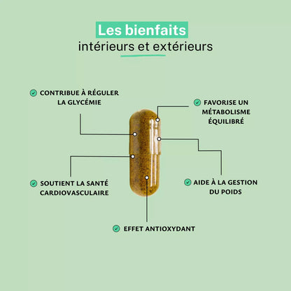 Berbérine