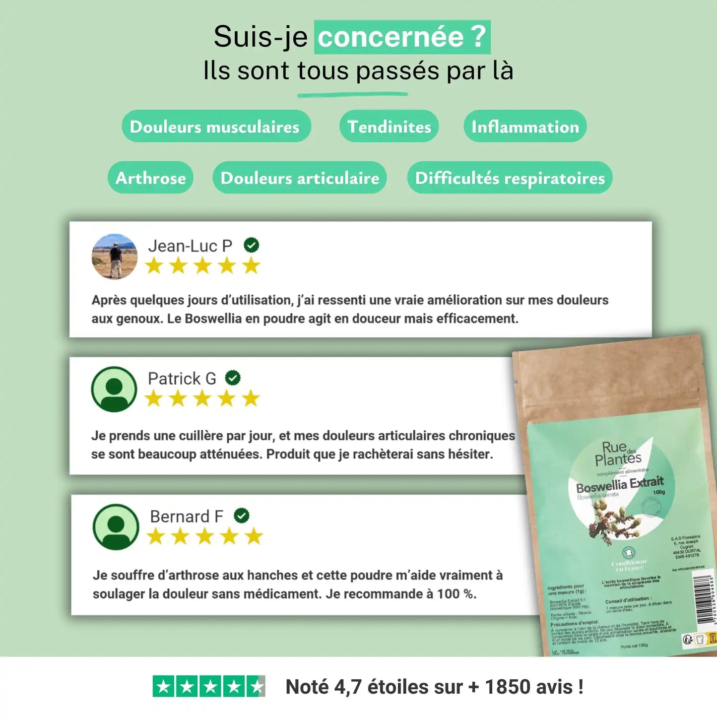 Achat Boswellia Extrait 5:1 dont 65% d'Acide Boswellique Poudre