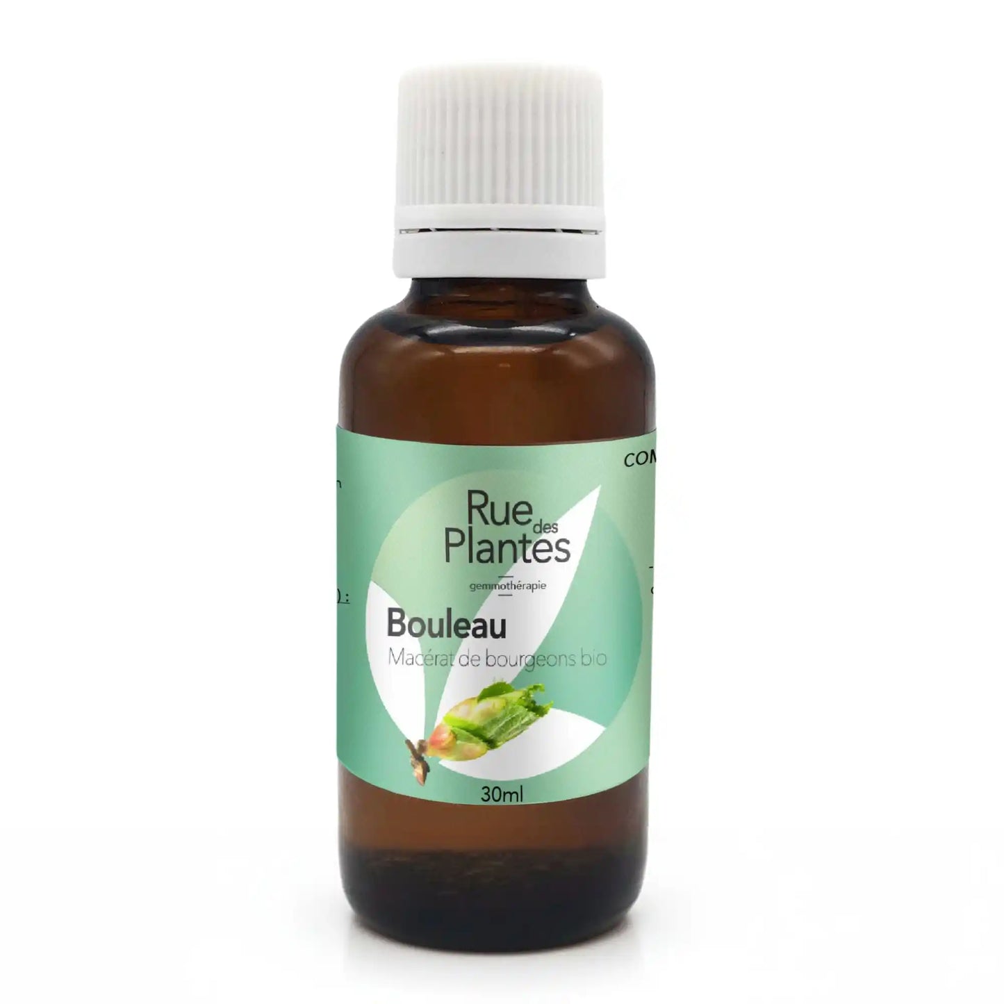 Achat Macérat de bourgeons Bouleau Bio - Gemmothérapie