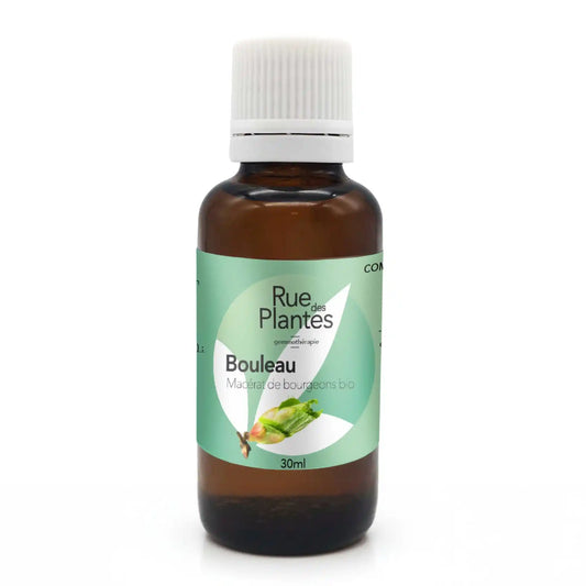 Achat Macérat de bourgeons Bouleau Bio - Gemmothérapie