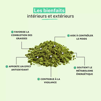Café Vert Extrait 15% d'Acide Chlorogénique Poudre