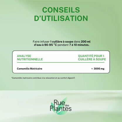 Camomille Matricaire