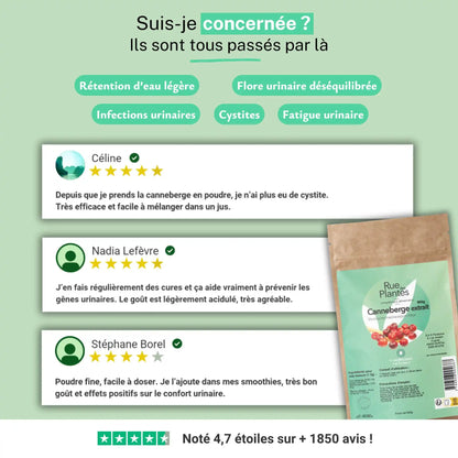 Canneberge Extrait 5% Anthocyanosides Poudre